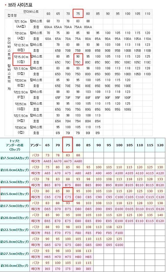 24년전에 비해 f컵 인구가 30배 늘어난 일본 ㄷㄷ | 인스티즈