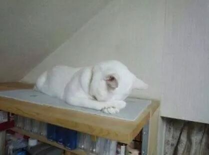 아이쿠 이미지