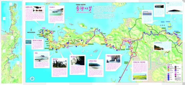 솔향기 이미지