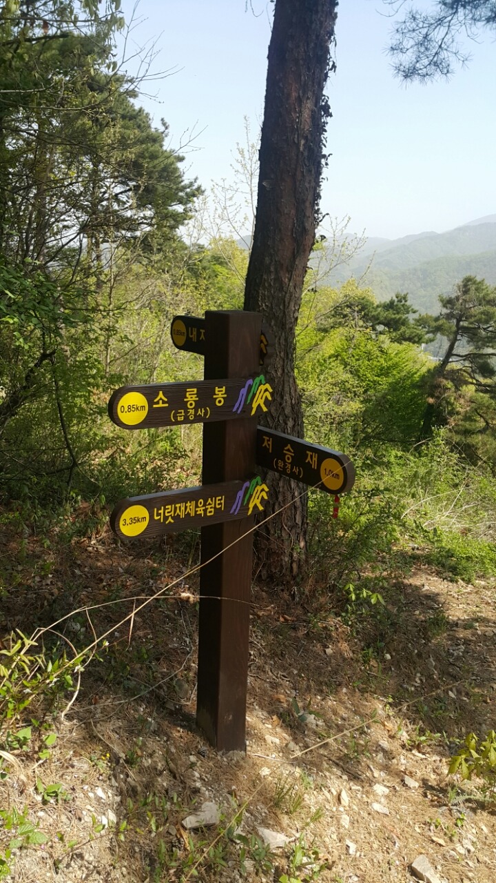 돼지아빠 이미지