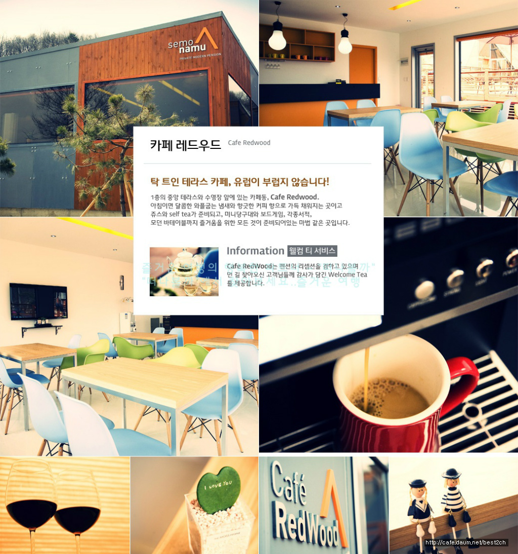 세모난나무 이미지