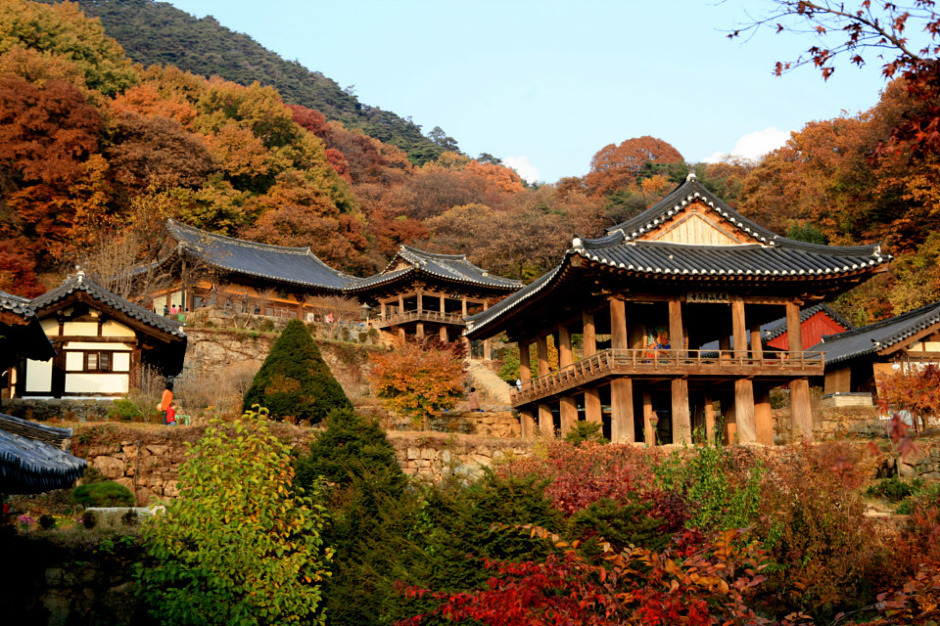 평일야 이미지