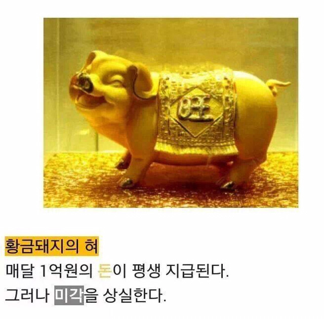 다음 중 한가지를 먹을 수 있다면?? | 인스티즈