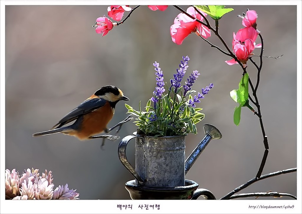 아름다운연출 이미지