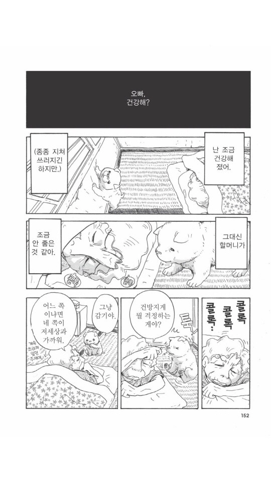 개를 주워오면 안되는 이유 | 인스티즈