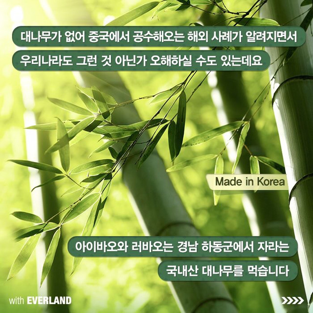 판다는 먹이값만 수백억이 들어간다? 판다의 진실.jpg | 인스티즈