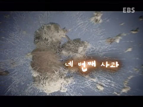 한 천재가 삼킨 네번째 사과 - 앨런튜링 | 인스티즈