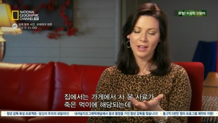 고양이가 자꾸 변기물 마시는이유.. | 인스티즈