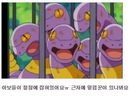 착한 로켓단.jpg | 인스티즈