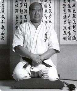 샤이닝모빌 이미지
