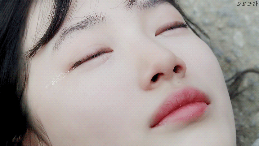 최애 + 짱예들과 함께 하는 삶 vs 그냥 이대로 살기 | 인스티즈
