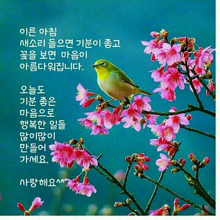 동네치킨 이미지