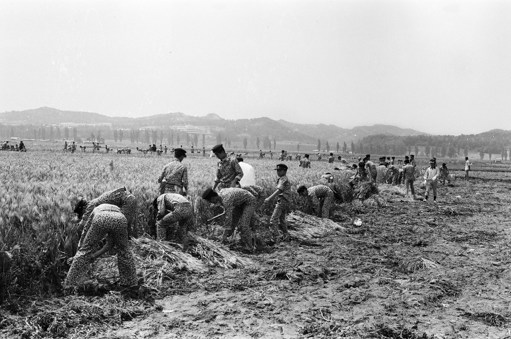 70년대 고등학생 | 인스티즈