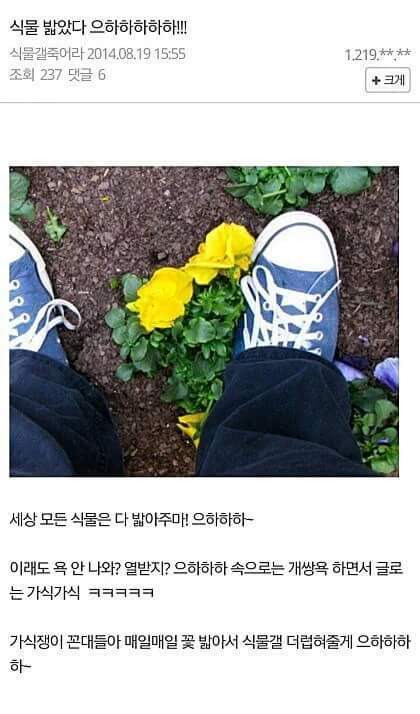 식물갤이 디씨 최고의 클린갤인 이유.JPG | 인스티즈