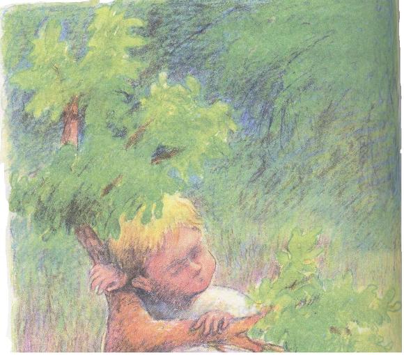 많은 어른들을 눈물 흘리게 한 어린이 필독서.jpg | 인스티즈