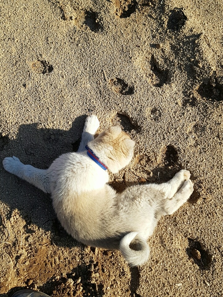 보름 이미지