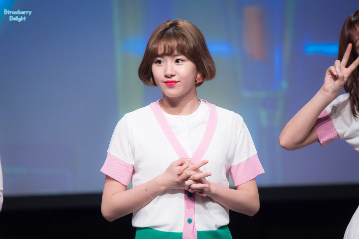 [2017] 월별 채영이 | 인스티즈