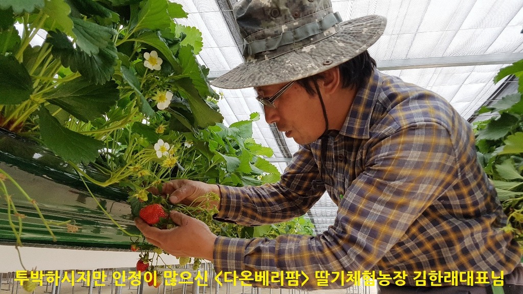 다온농장 이미지