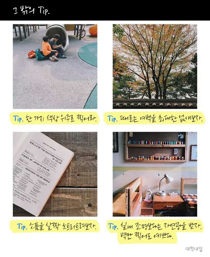 폰카로 최대한 사진 이쁘게 찍는 방법(feat.대학내일) | 인스티즈