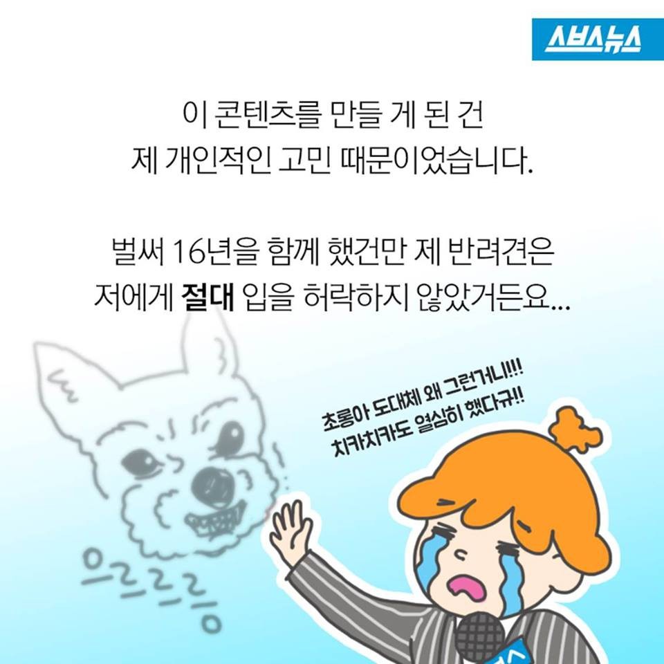 개들이 뽀뽀를 피하는 이유.jpg | 인스티즈