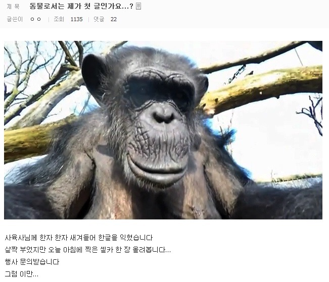 DC 허언증 갤러리 | 인스티즈