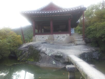 브이레인 이미지