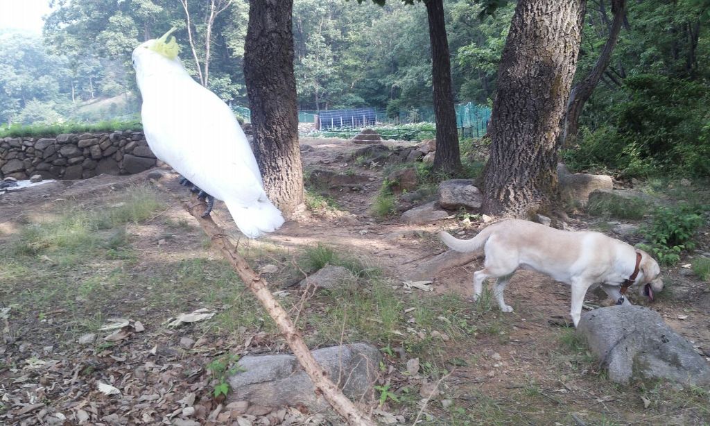 예삐농장 이미지