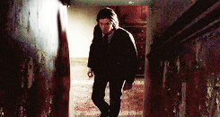 텀블러에서 양덕들이 젊은 시리우스 블랙으로 밀고있는 배우 | 인스티즈