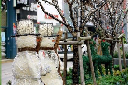 얼마 후 보게될 거리의 모습 | 인스티즈