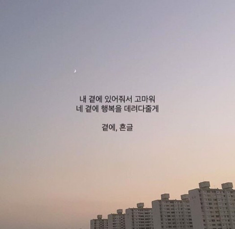달콩 이미지