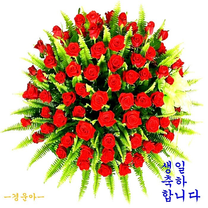 지이 이미지