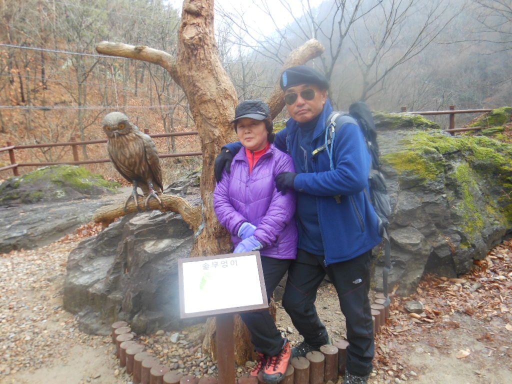 목림 이미지