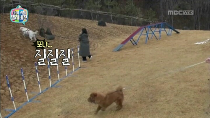 [마리텔] 조련당하는 민아 | 인스티즈