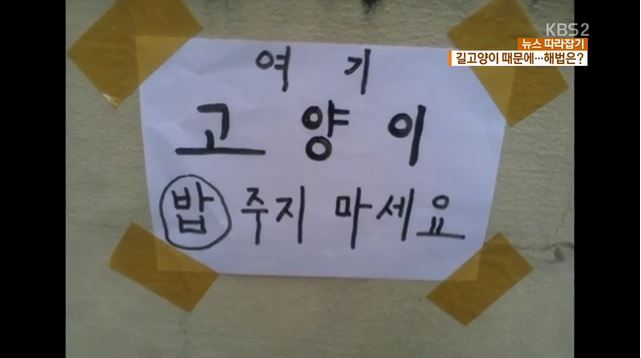 날이 추워지면서 더 걱정되는 길고양이들...............jpg | 인스티즈