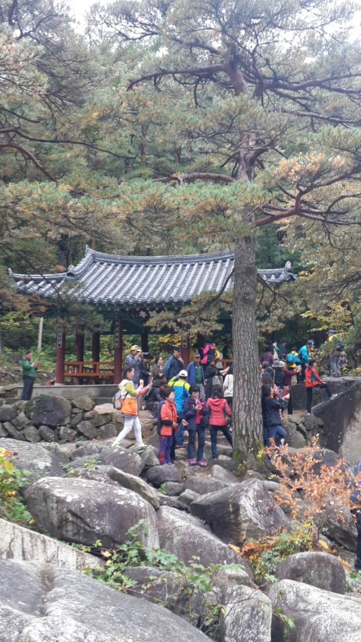 금란정 이미지