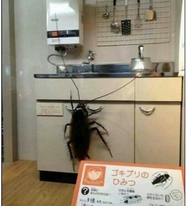 장난감세상 이미지
