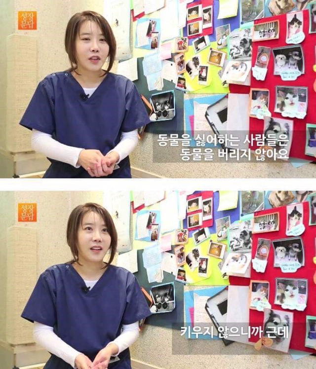 동물을 좋아하는 사람이 동물을 버린단 말이에요 | 인스티즈