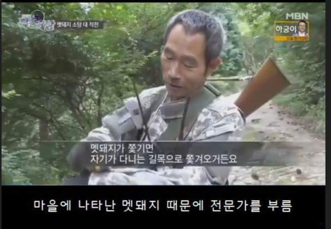 맷돼지 사냥꾼 레전드 ㅋㅋㅋㅋㅋㅋㅋㅋ | 인스티즈