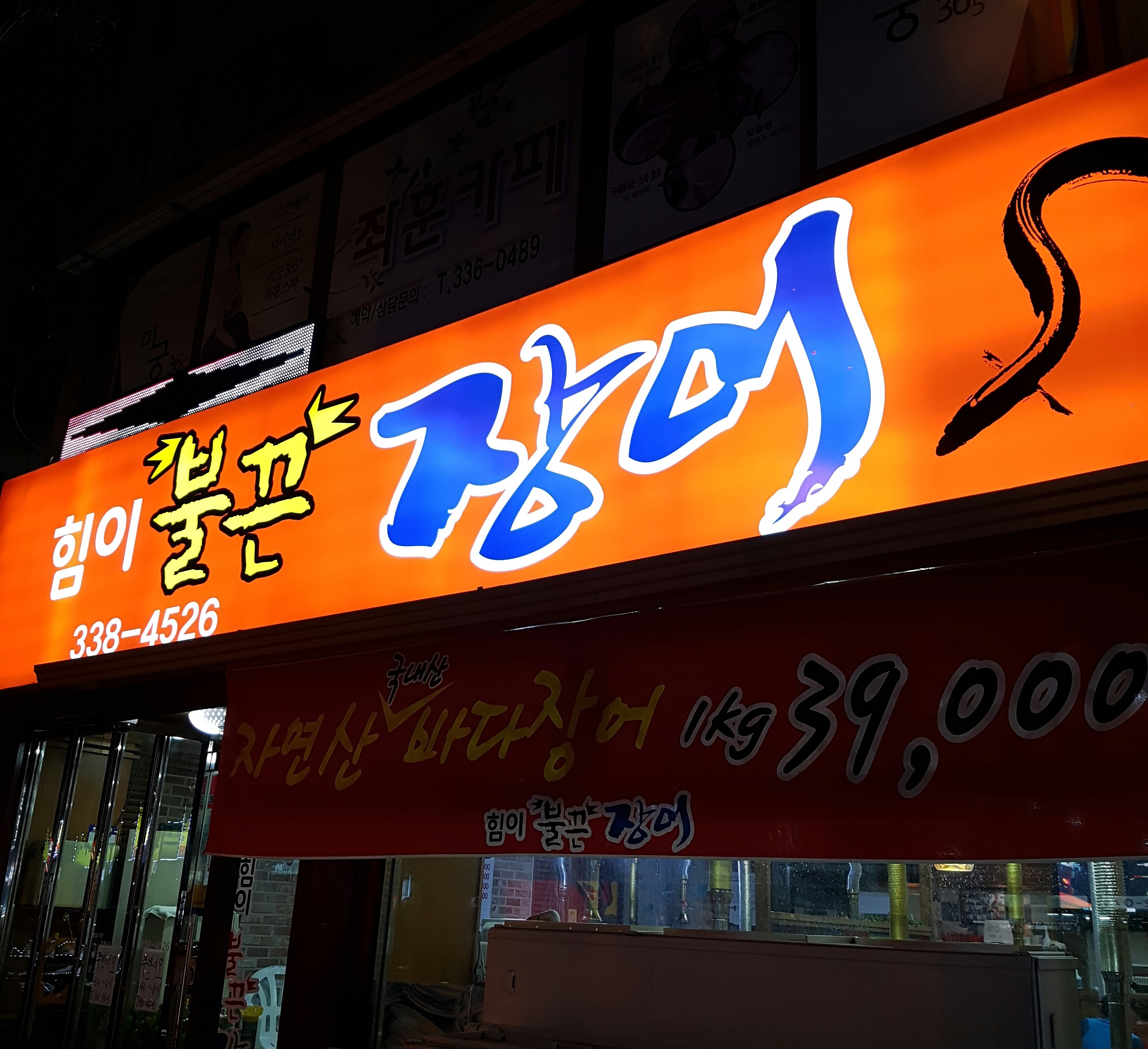 불끈장어 이미지