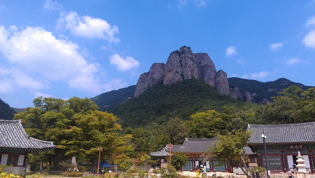 (주)삼화여행사 이미지