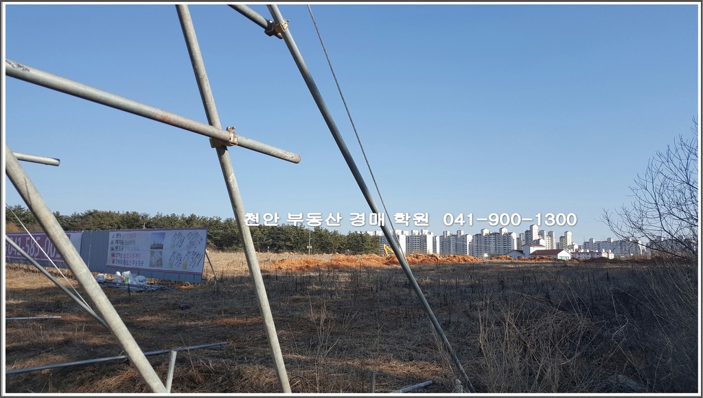 미가온 이미지