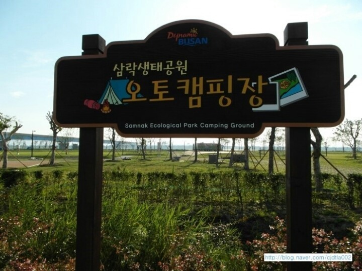 아침별 이미지