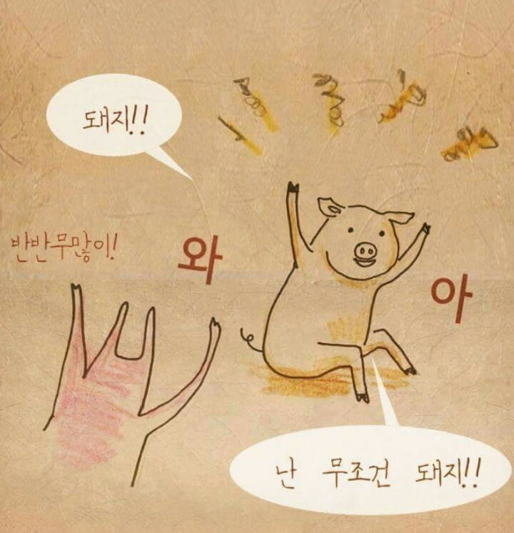야돼지다 이미지