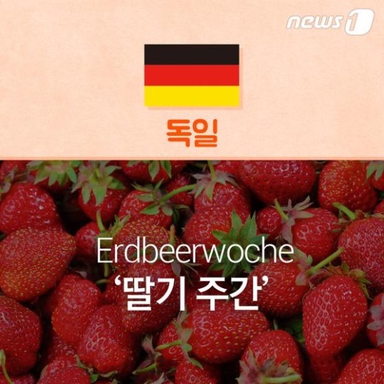 "생리중"말하기 좀 그렇지?그래서 우린 이렇게 불러 | 인스티즈