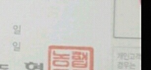 도린 이미지