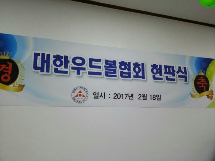 대한우드볼협회 이미지
