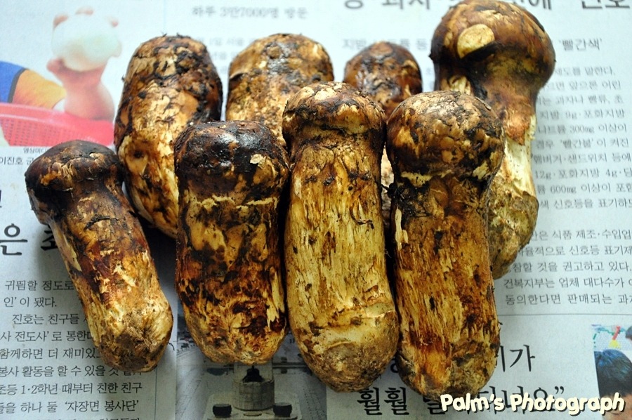 일반 음식에 시간과 정성이 더해지면... | 인스티즈