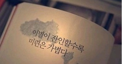 꽁이 이미지