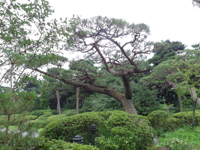 조경세계 이미지
