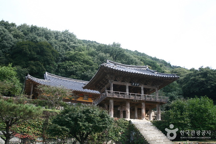 초아랑 영주 부석사 가고 싶다 | 인스티즈